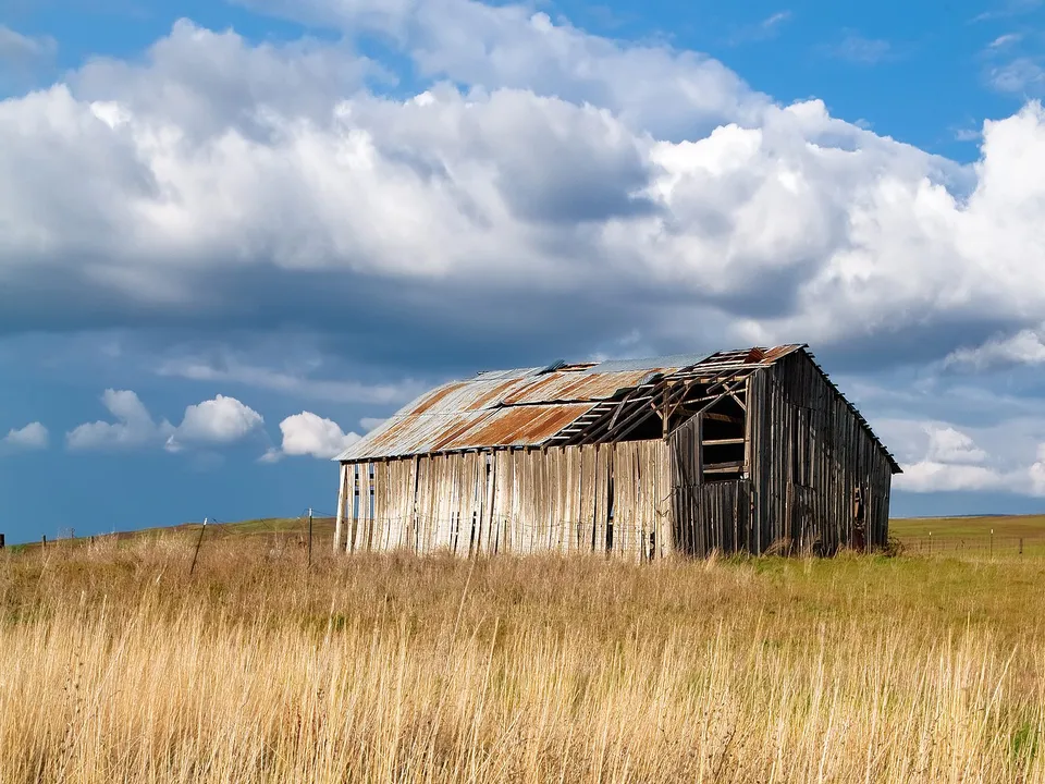 An old, weathered wooden barn with a rusty, damaged roof sits in a field of dry grass under a dramatic sky with clouds.