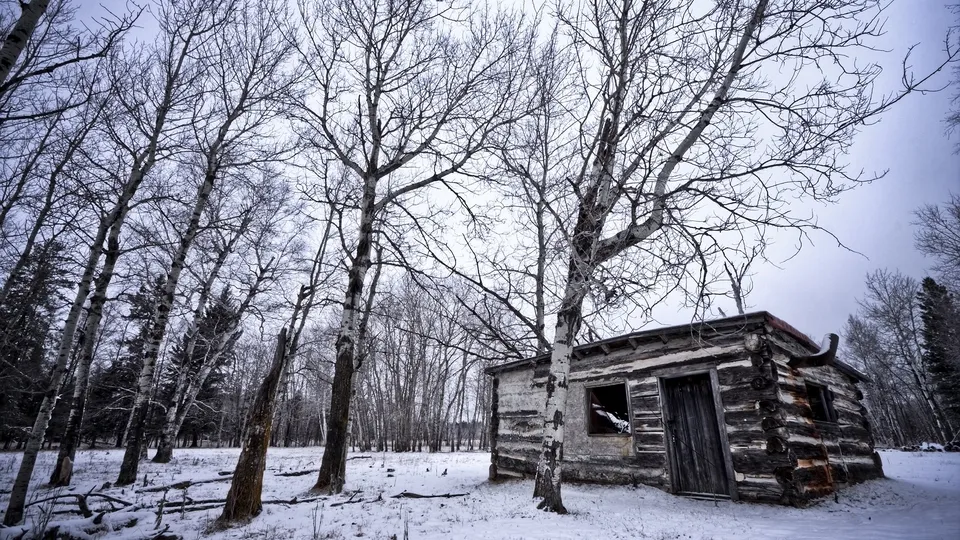 An old, weathered log cabin sits in a snow-covered forest with bare trees.