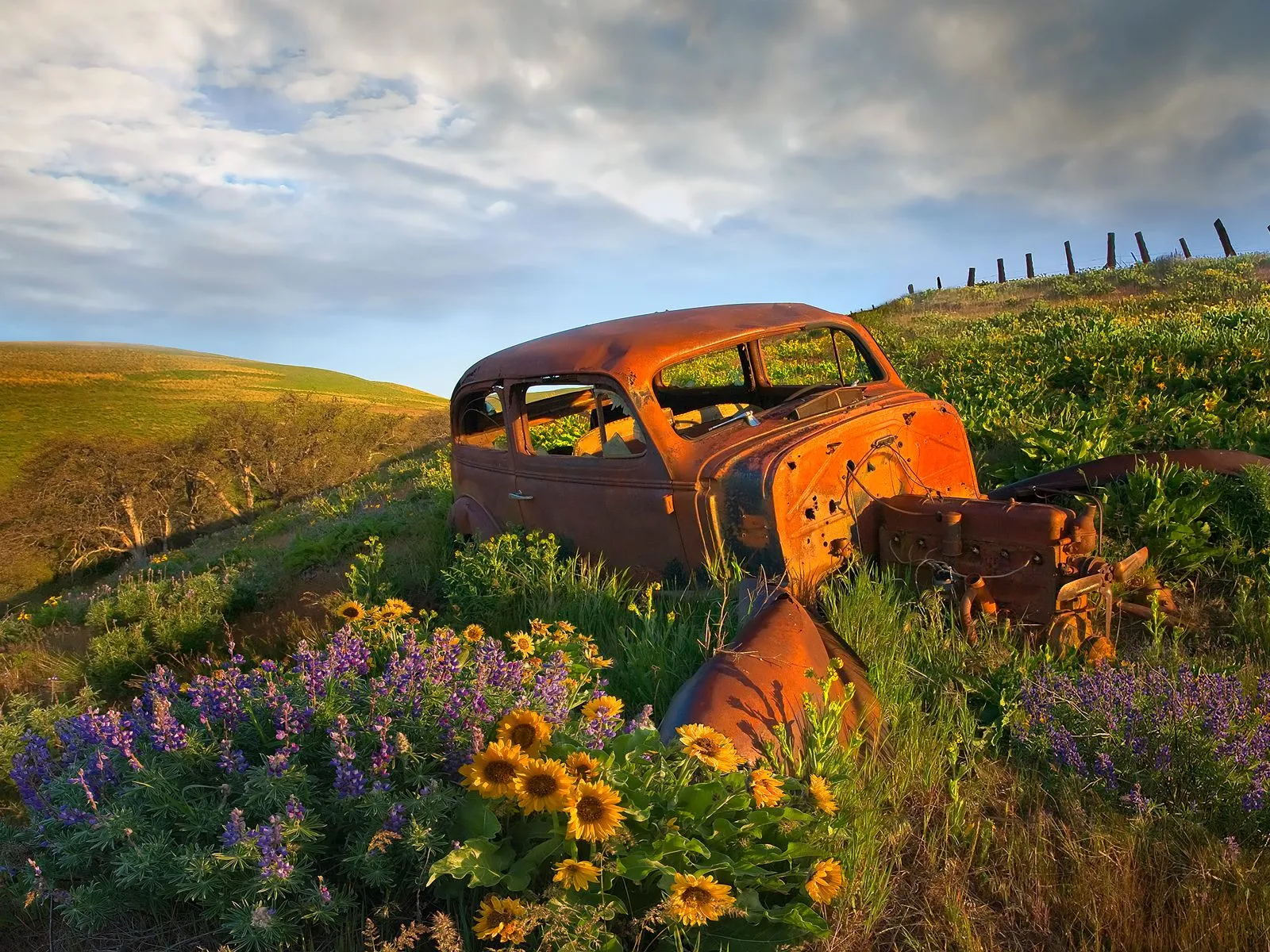 An old, rusty car sits in a field of wildflowers on a grassy hillside under a cloudy sky.