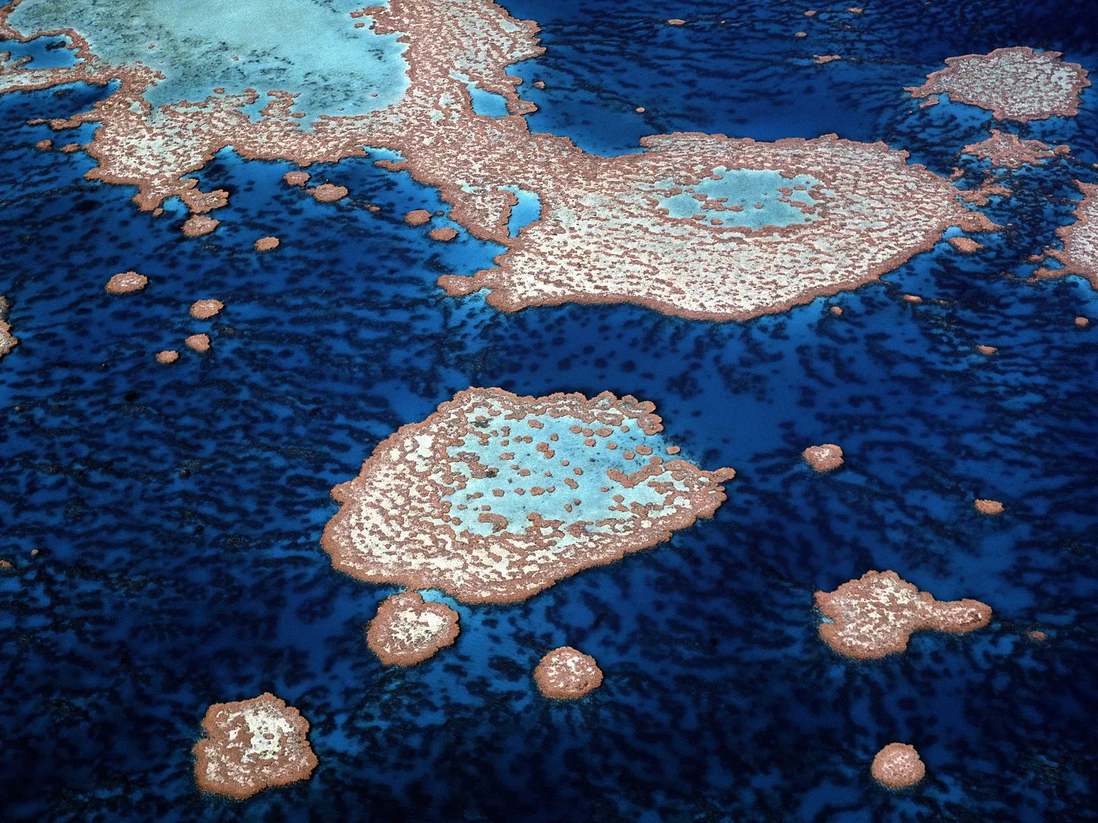 Aerial view of a coral reef system with intricate patterns of coral formations in deep blue water.