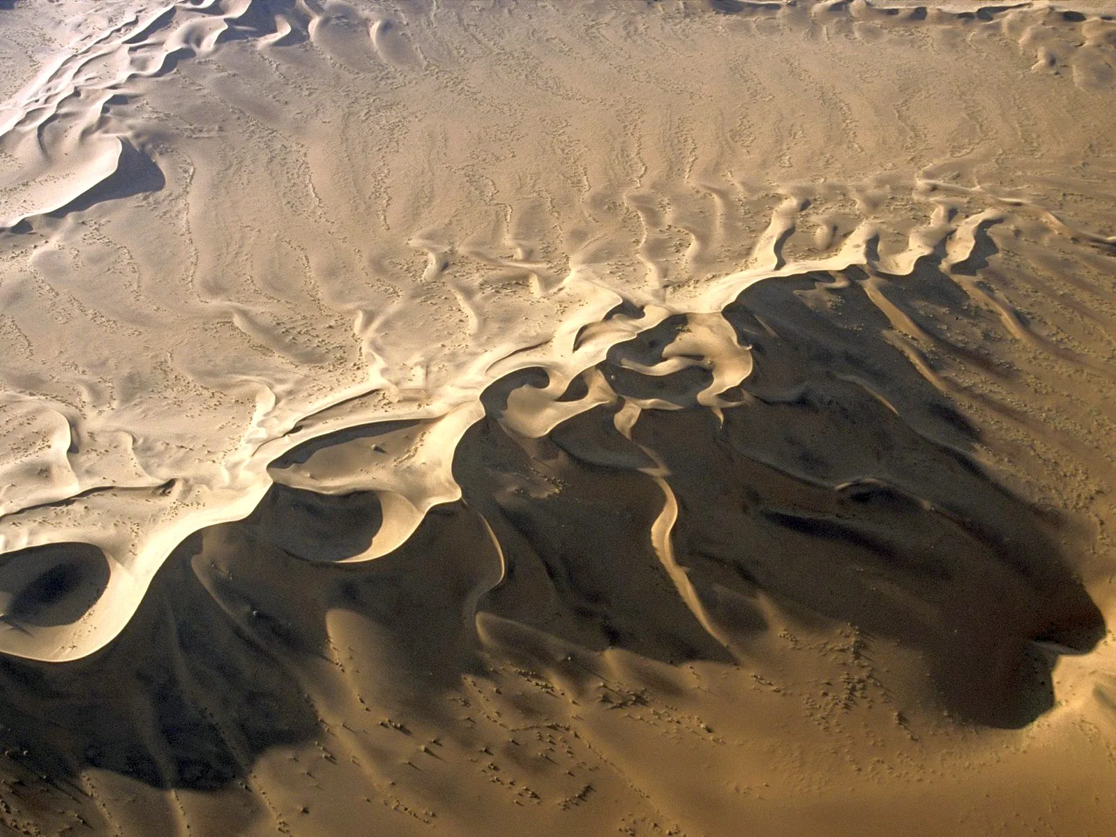 Aerial view of undulating sand dunes with dramatic shadows cast by the sun.