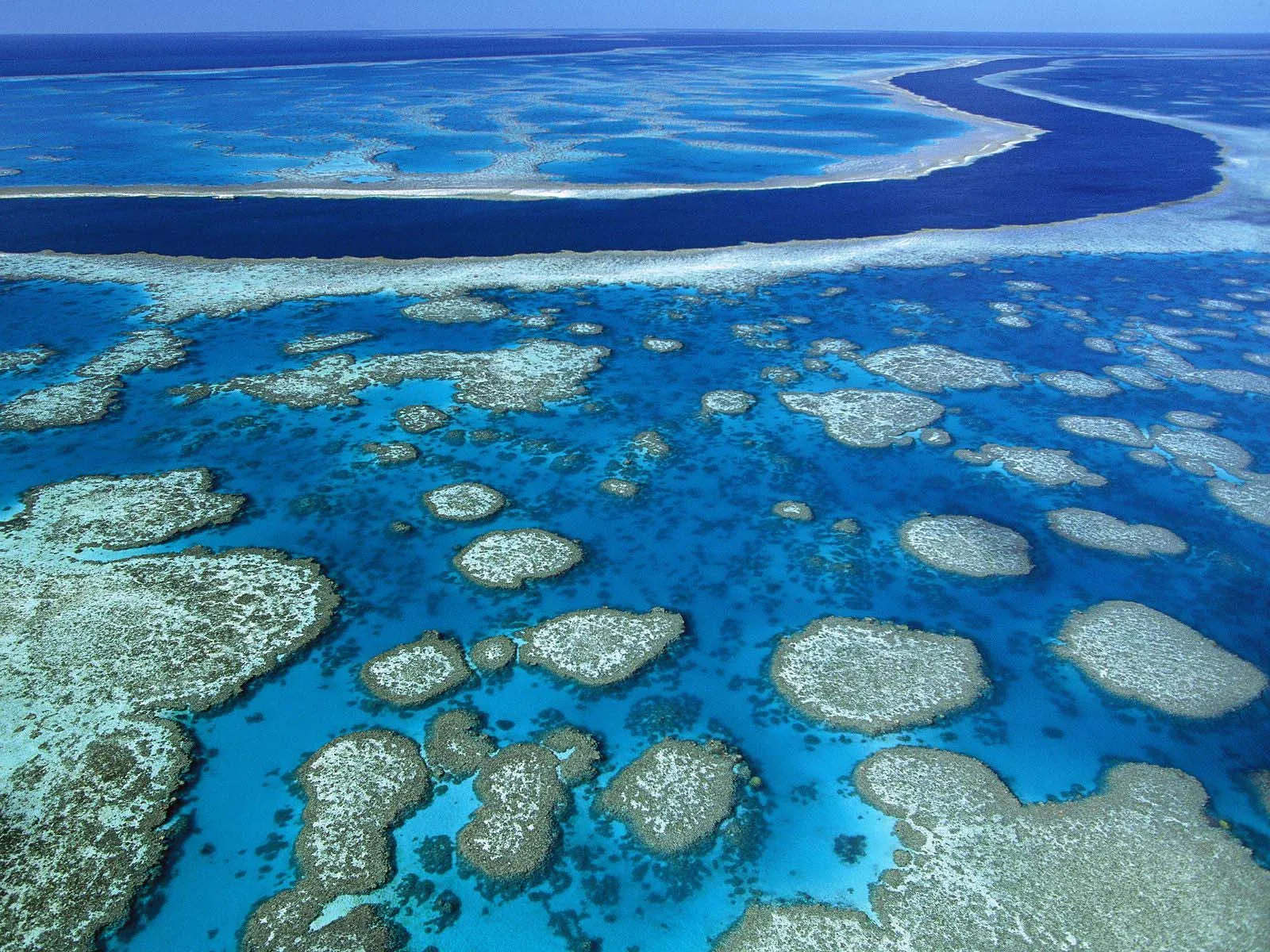 Aerial view of a vibrant coral reef system with clear turquoise waters and distinct coral formations.
