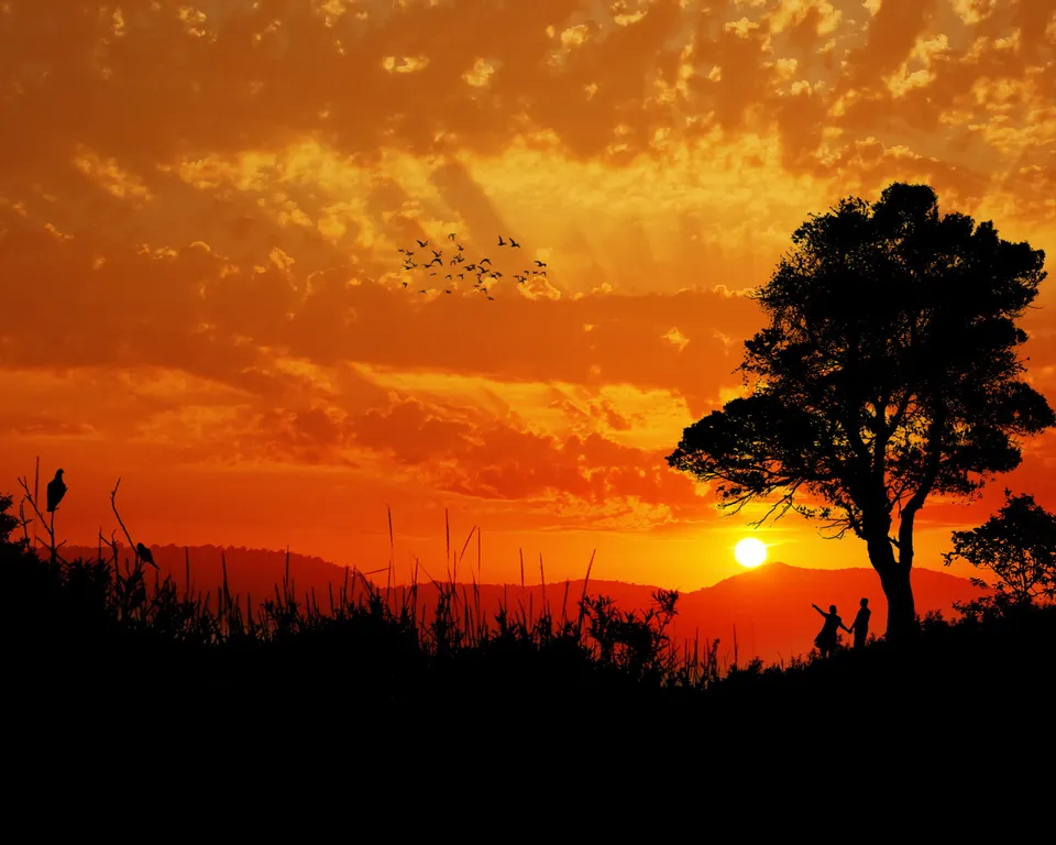 A couple holds hands silhouetted against a bright orange sunset sky with clouds and birds.