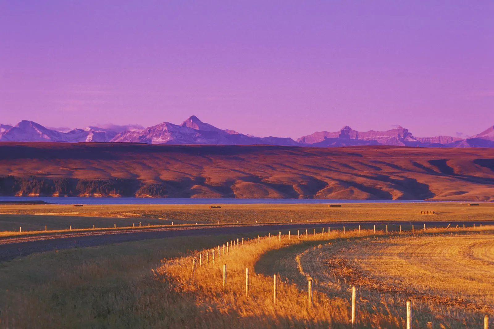 A winding road leads through a golden field towards distant mountains under a vibrant purple sky.