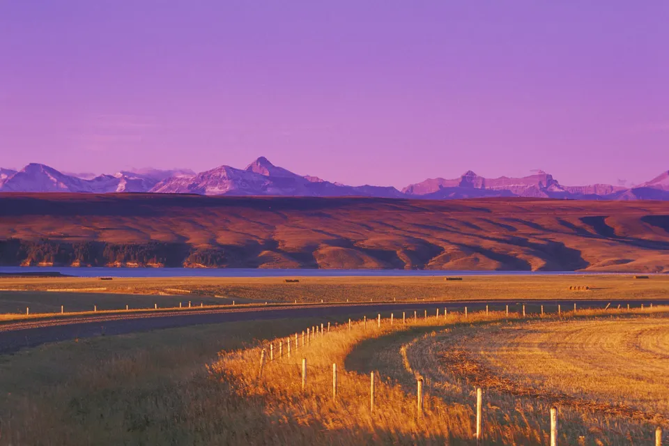 A winding road leads through a golden field towards distant mountains under a vibrant purple sky.
