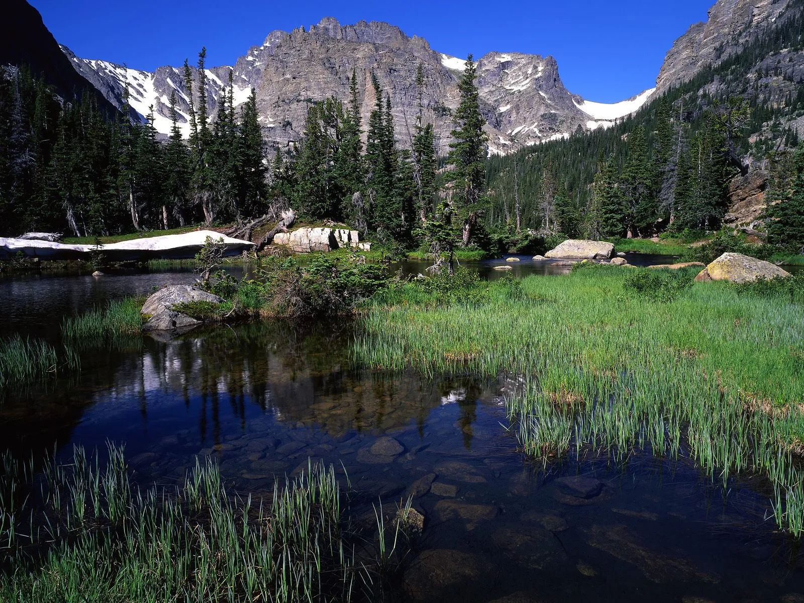 A clear alpine lake reflects snow-capped mountains and evergreen trees under a bright blue sky.
