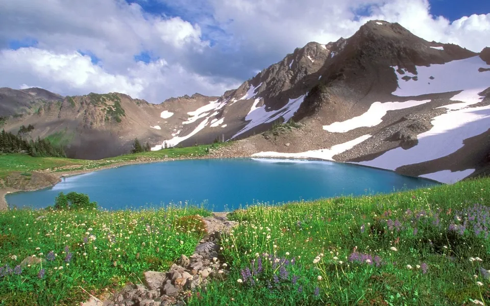 A bright blue alpine lake is nestled in a valley with snow-capped mountains and a field of wildflowers in the foreground.