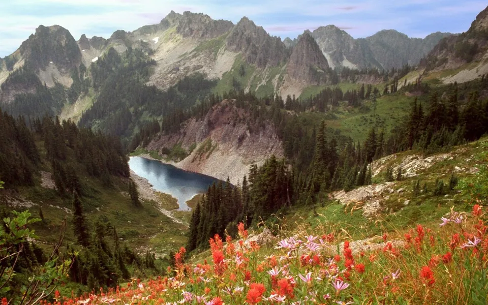 A serene alpine lake is nestled in a valley surrounded by rugged mountains and lush green forests, with a foreground of colorful wildflowers.