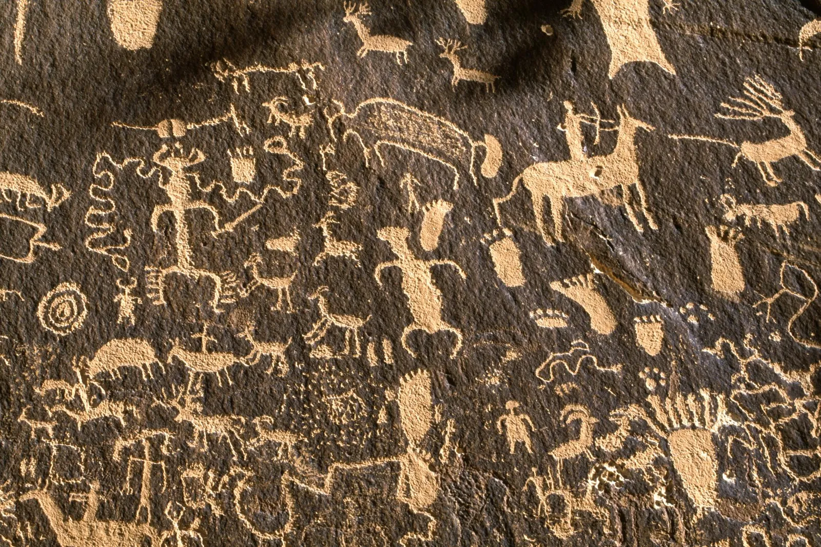 A close-up view of numerous ancient petroglyphs etched into a dark rock face, depicting human figures, animals, and symbols.