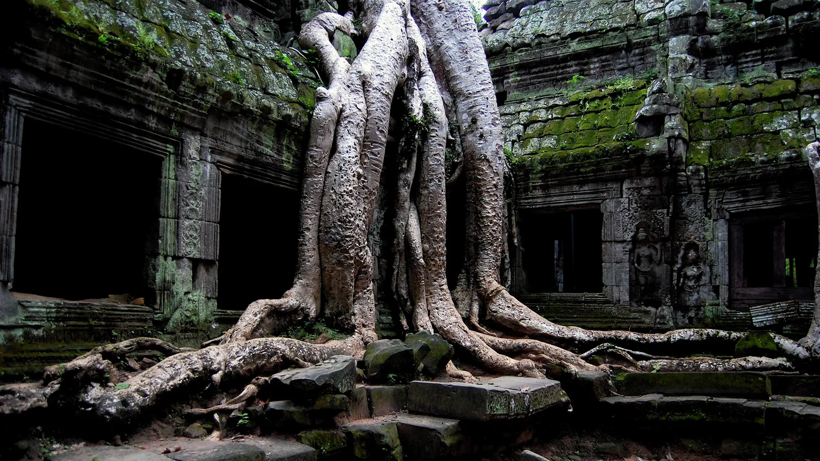Massive tree roots spread over and through the stone walls and doorways of an ancient, moss-covered temple.