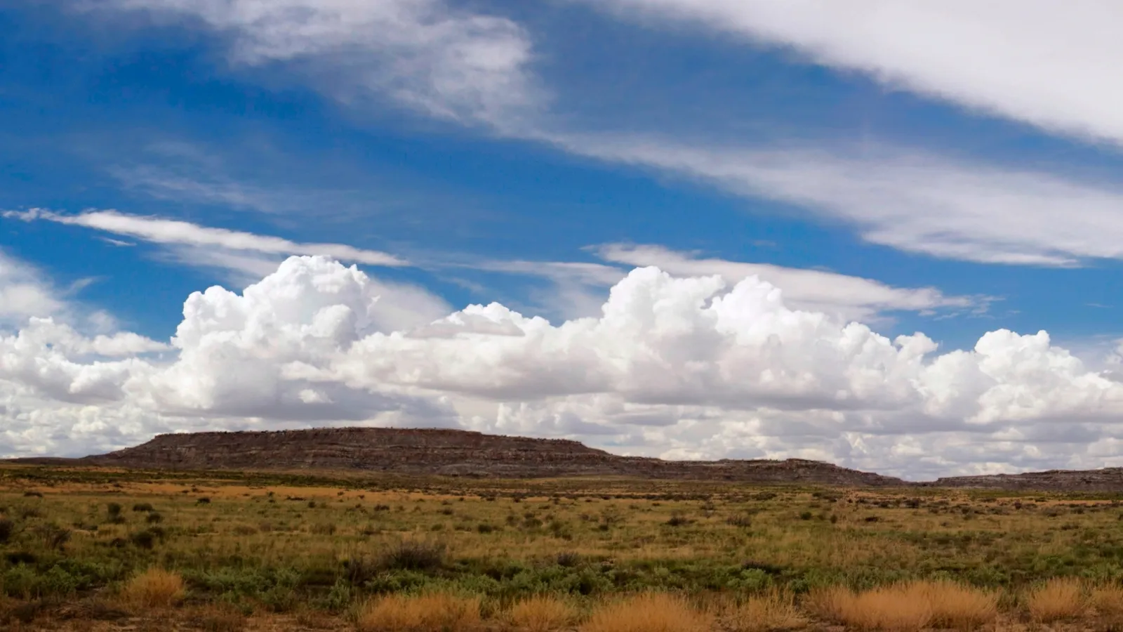 A wide, dry landscape with sparse vegetation and a distant mesa under a bright blue sky with fluffy white clouds.