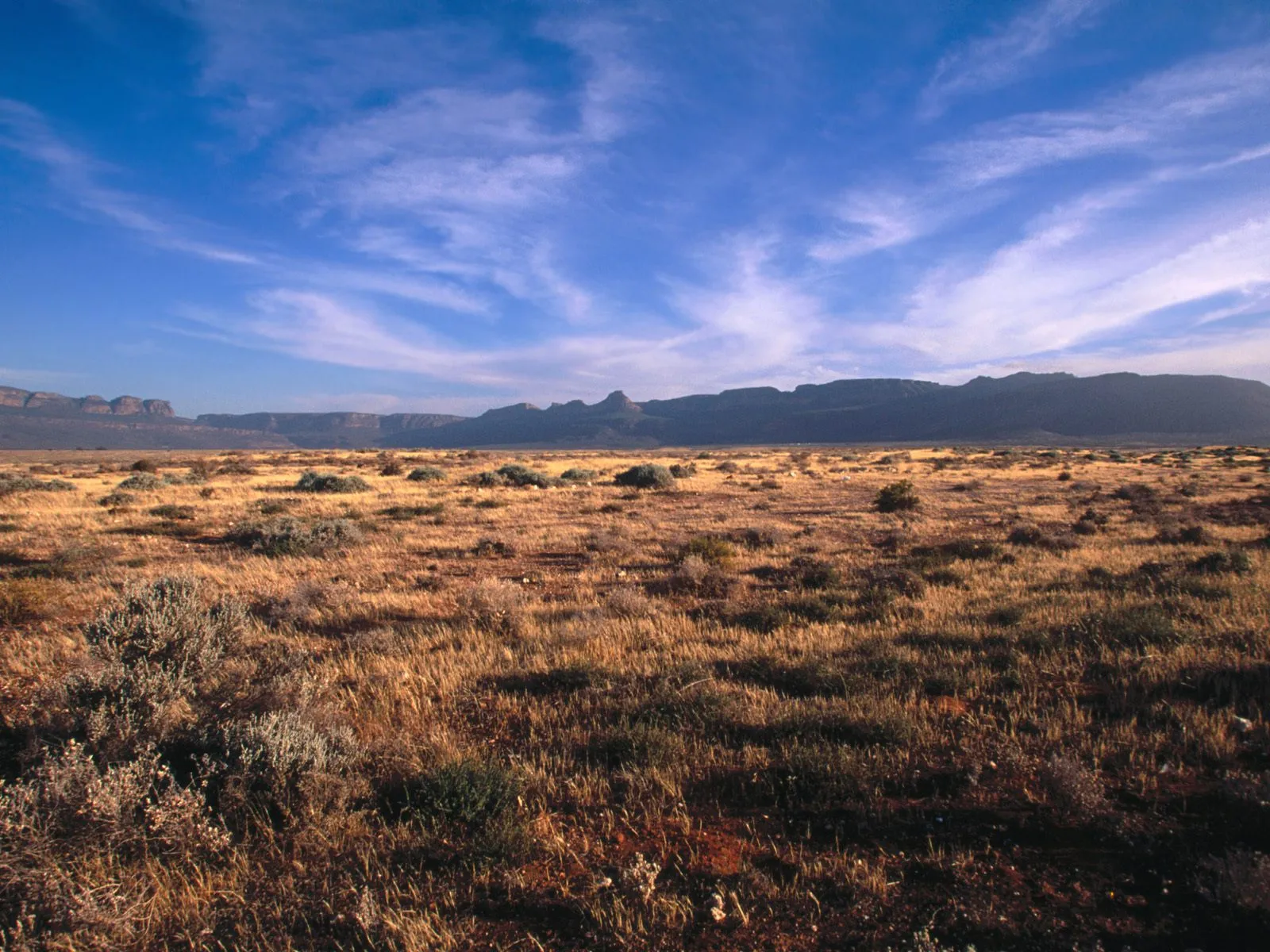 A wide, dry landscape with sparse vegetation and distant mountains under a bright blue sky with wispy clouds.