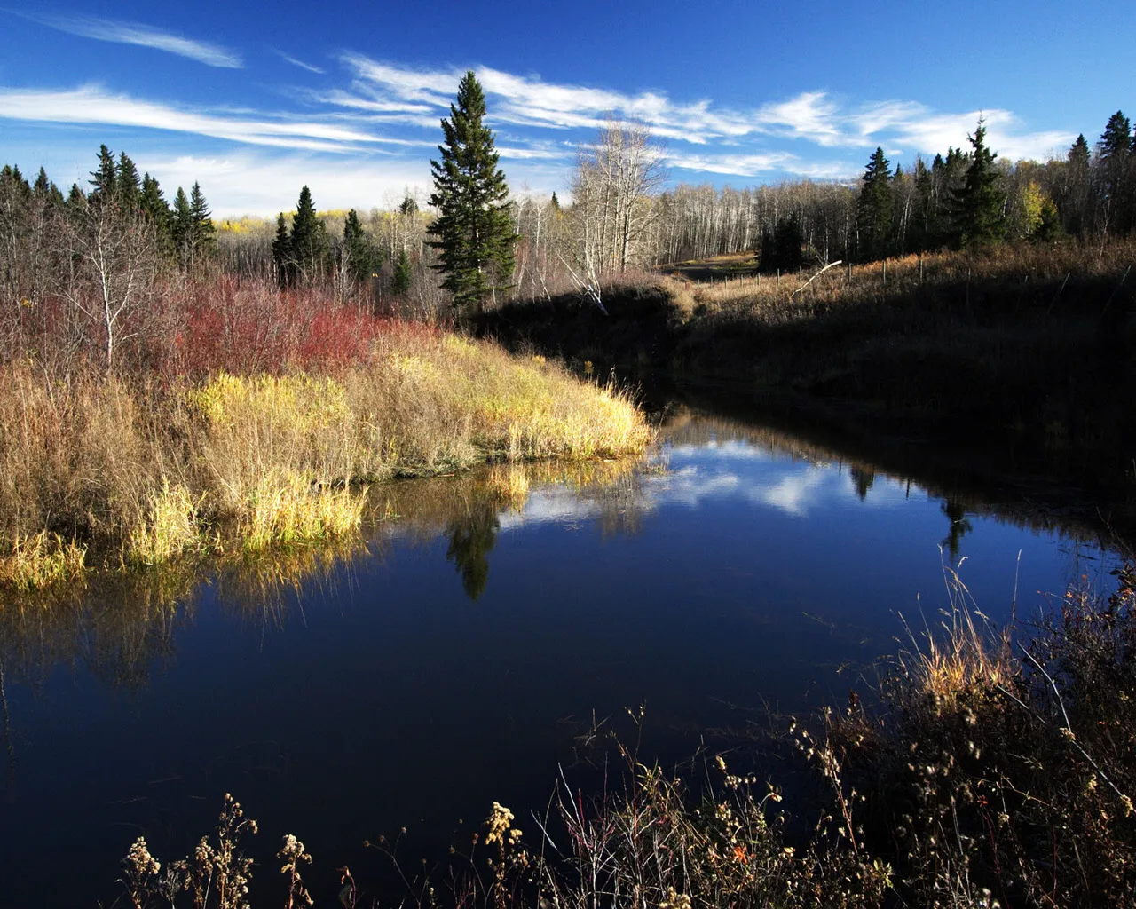 A calm creek reflects the bright blue sky and wispy clouds, surrounded by autumn foliage and evergreen trees.