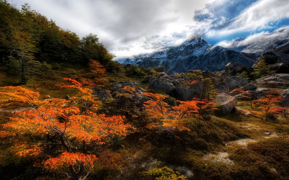 Bright orange autumn trees in the foreground contrast with rocky terrain and snow-capped mountains.