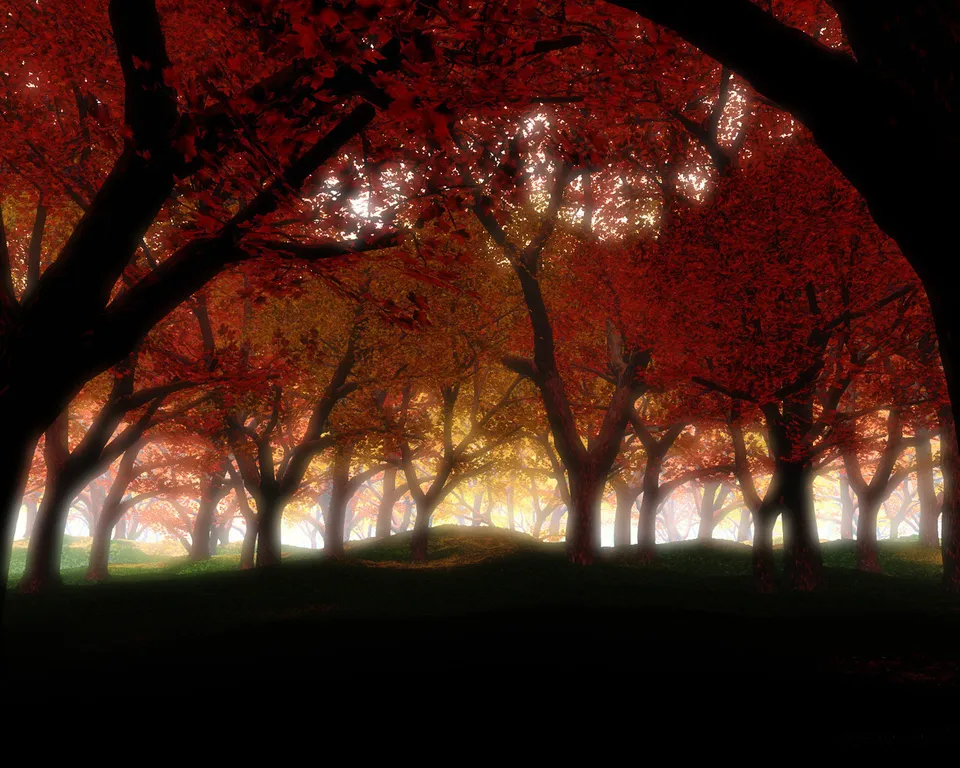 A dense forest with trees displaying vibrant red and orange autumn leaves, illuminated by soft golden light filtering through the canopy.