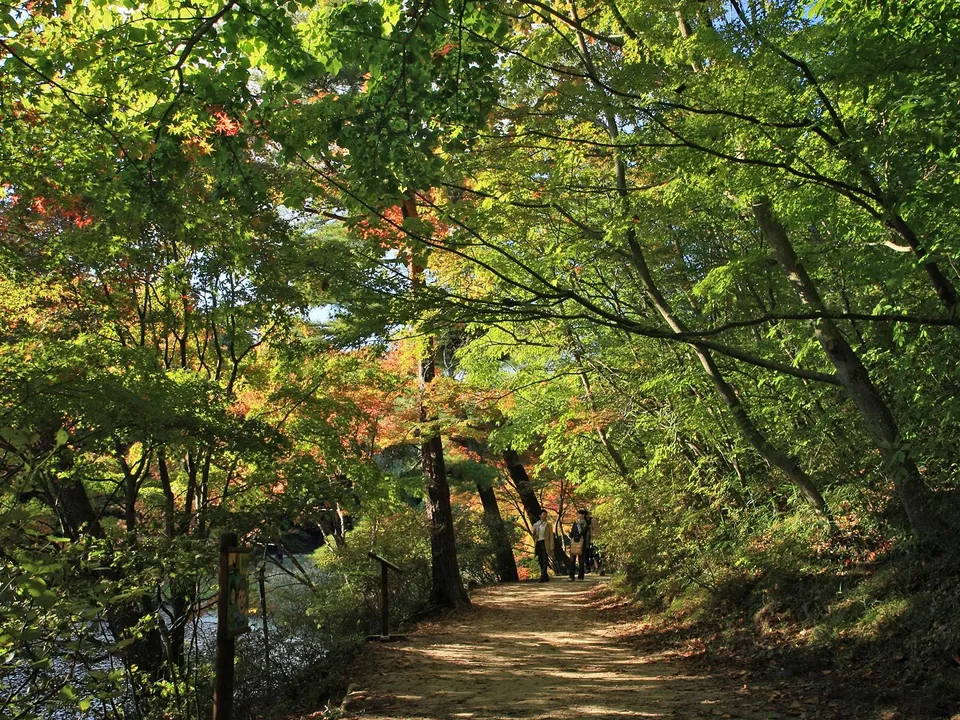 A dirt path winds through a forest with trees showing autumn colors and green leaves, alongside a body of water.