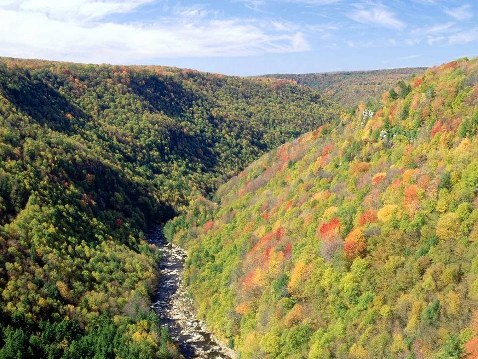 A wide valley covered in trees displaying vibrant autumn colors, with a river flowing through the bottom.