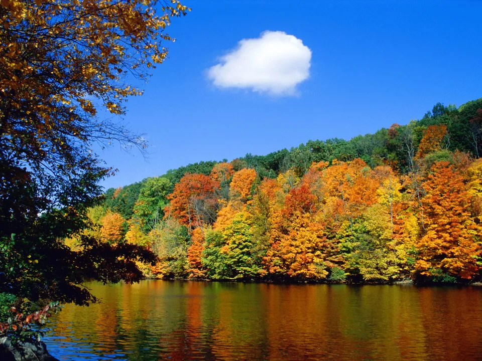 A hillside covered in vibrant autumn foliage is reflected in a calm lake under a blue sky with a single cloud.