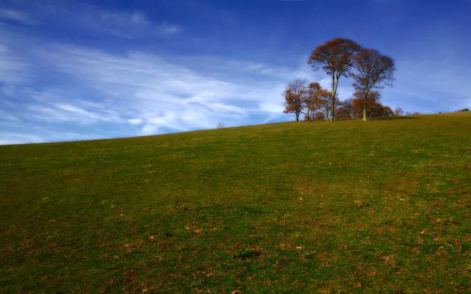 A grassy hillside with scattered trees, some showing autumn colors, under a blue sky with wispy clouds.