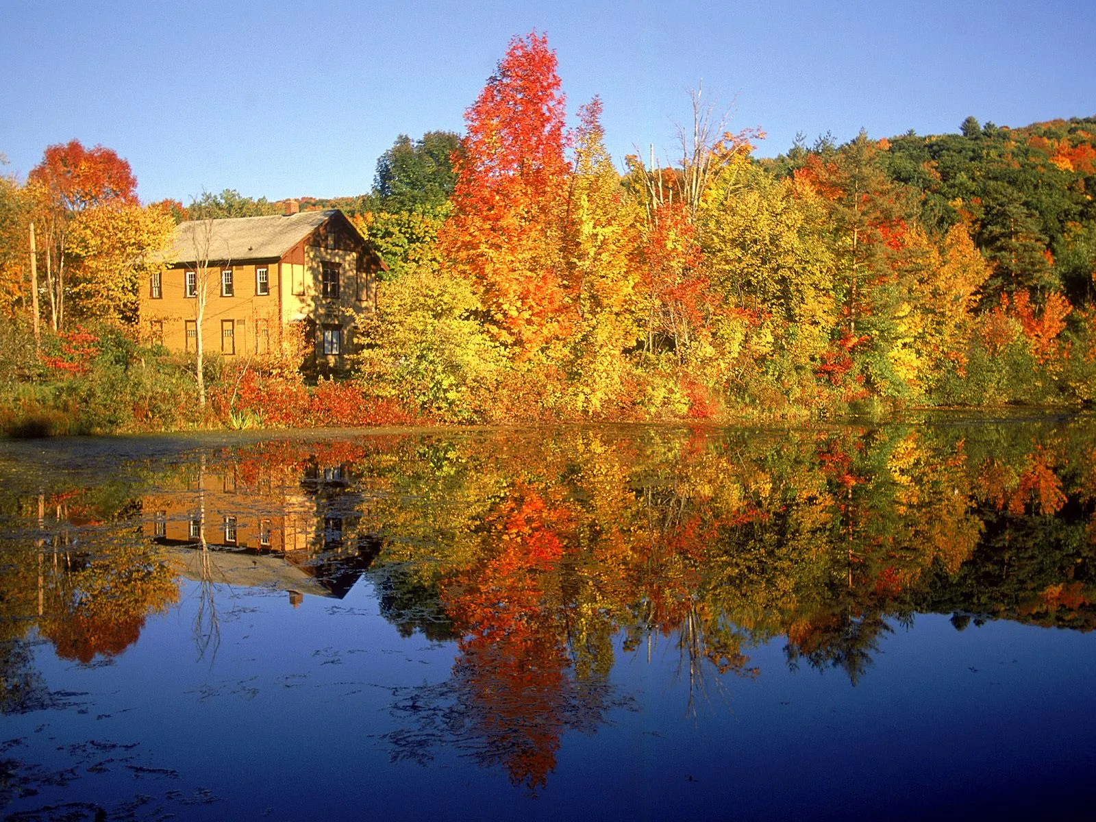 A yellow house sits beside a lake surrounded by trees in peak autumn foliage, with reflections in the water.