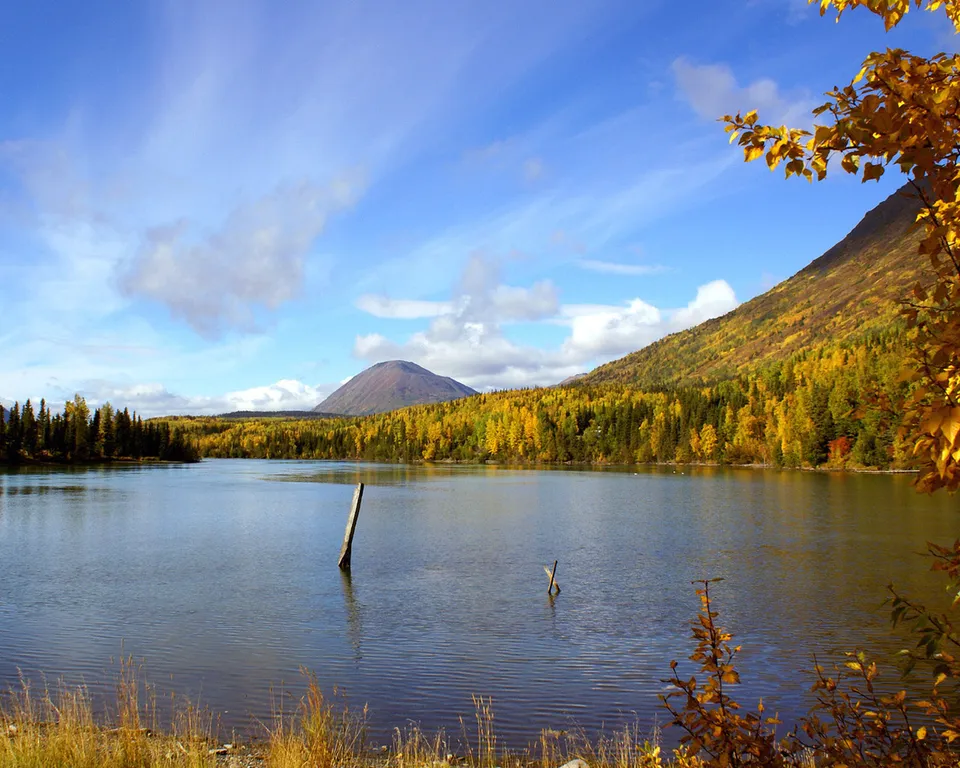 A calm lake reflects the golden autumn foliage of trees and a distant mountain under a blue sky with clouds.