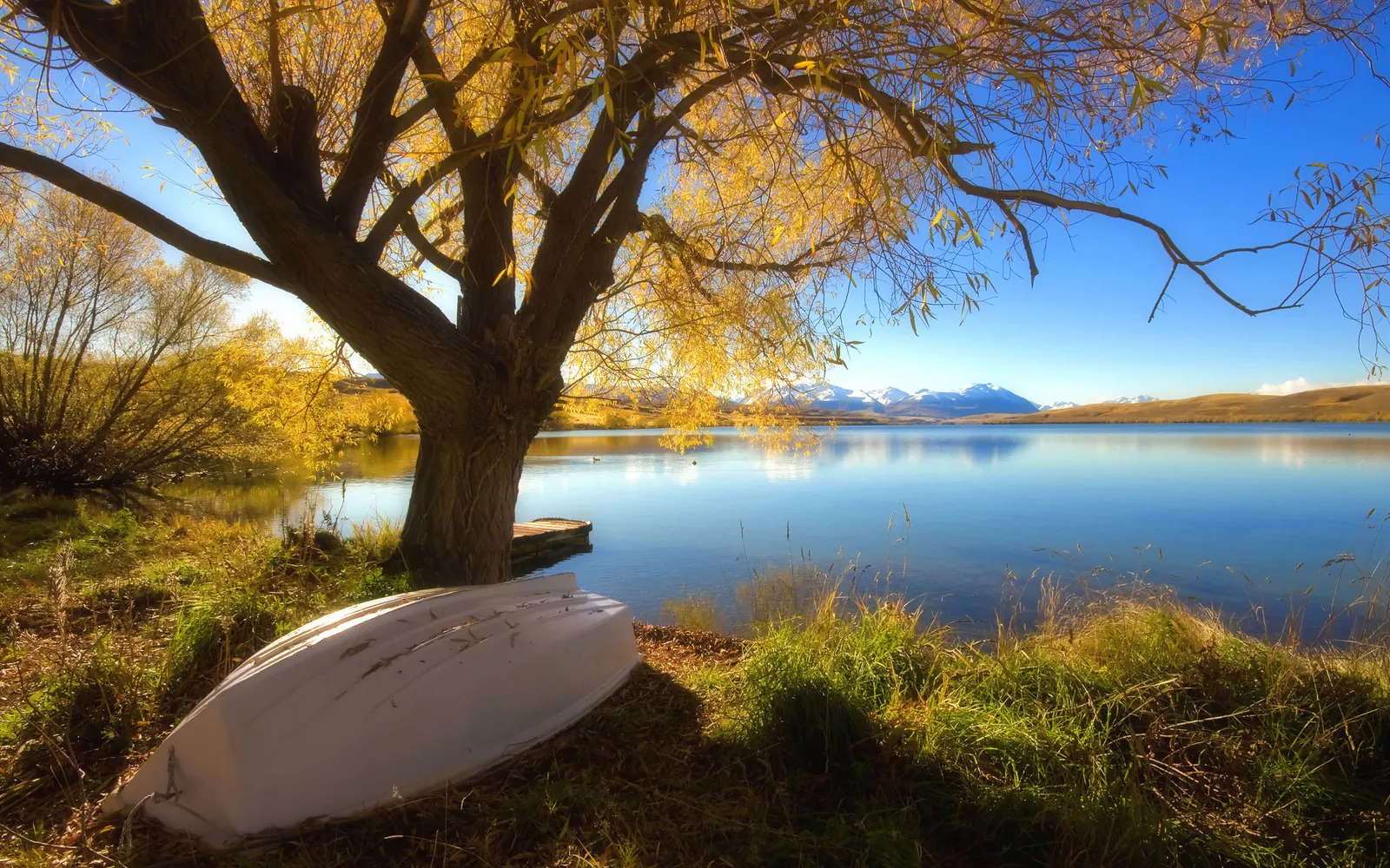 A white boat rests on the grassy shore of a calm lake, with autumn trees and distant snow-capped mountains under a clear blue sky.