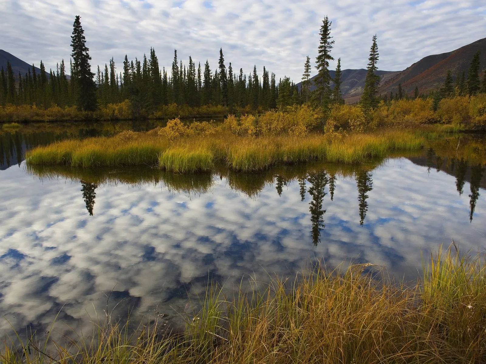 A calm lake reflects trees and a cloudy sky, with golden grasses in the foreground.