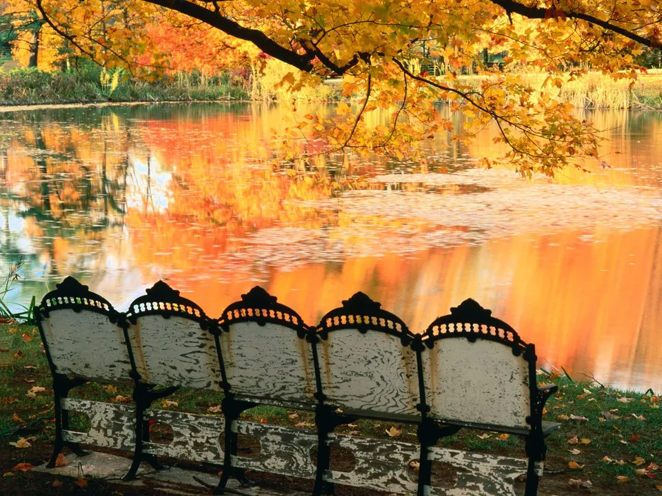 An empty park bench faces a lake reflecting vibrant autumn foliage.