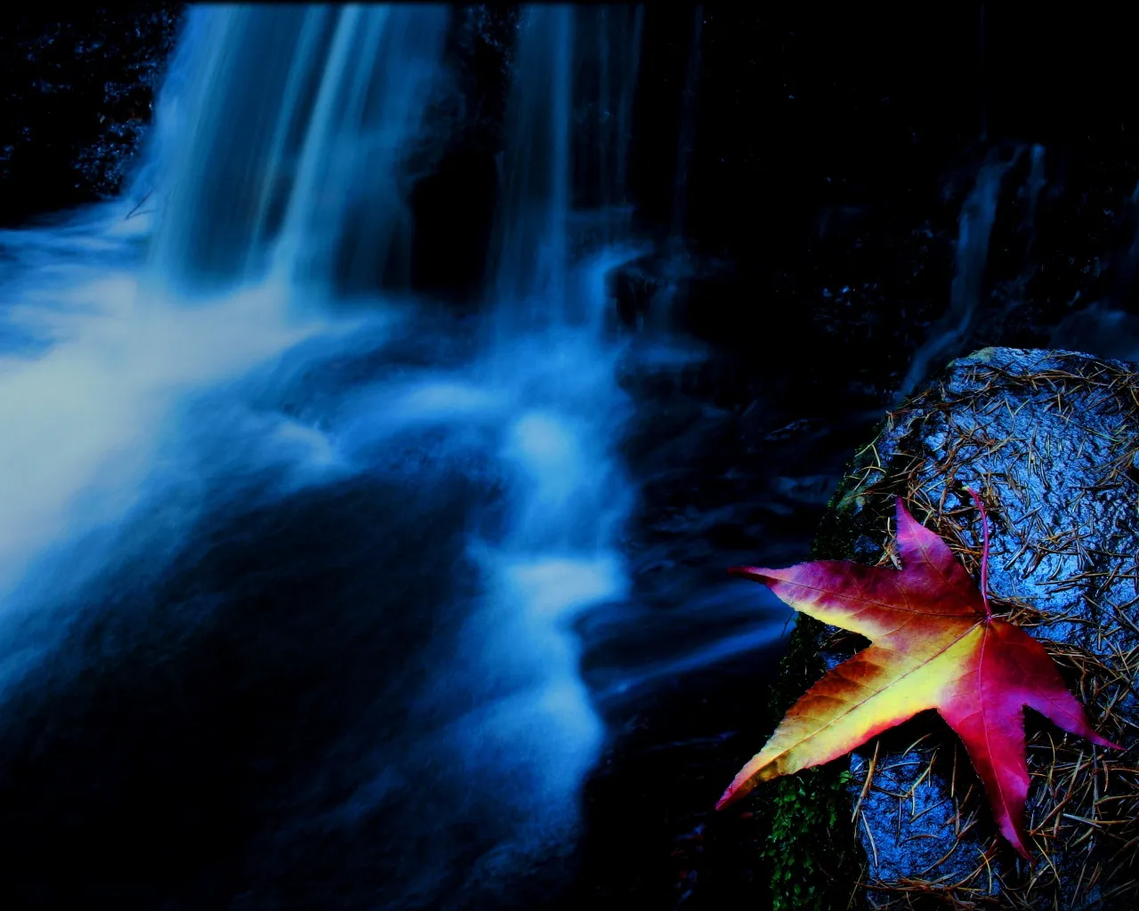 A vibrant red and yellow maple leaf rests on a mossy rock next to a blurred blue waterfall.