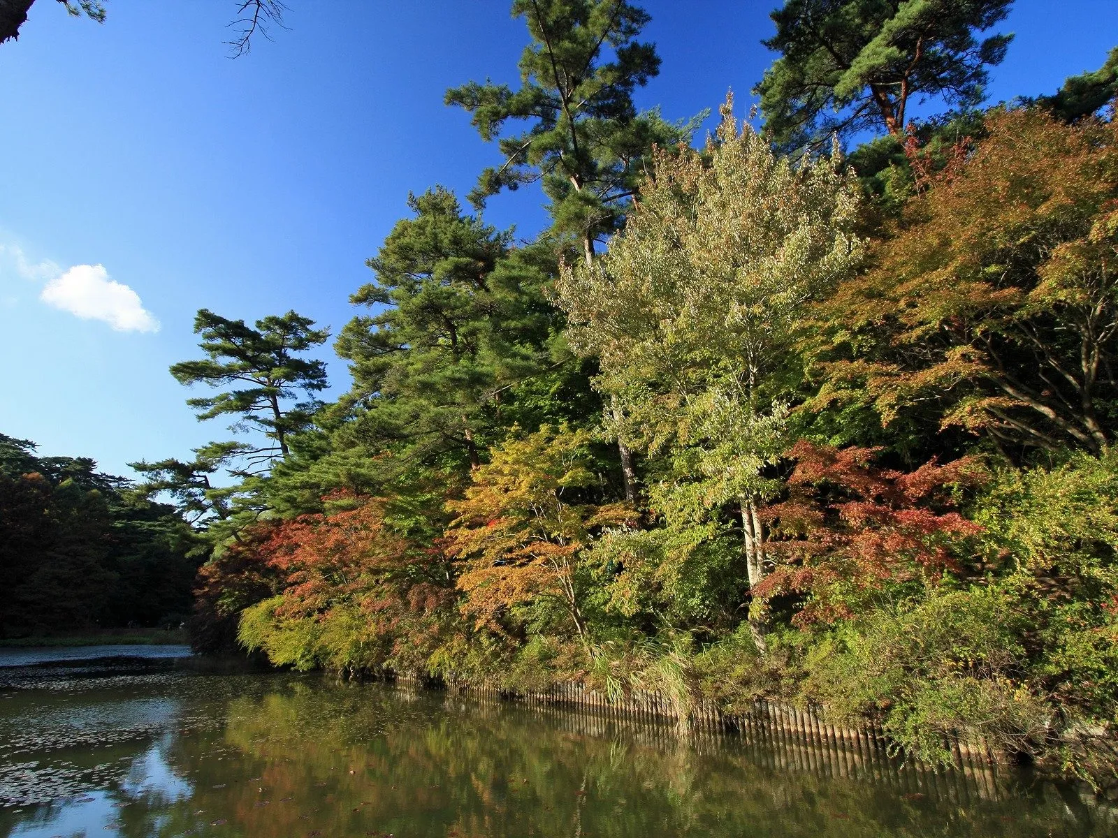 A calm lake reflects surrounding trees with a mix of green, yellow, and red autumn leaves under a blue sky.