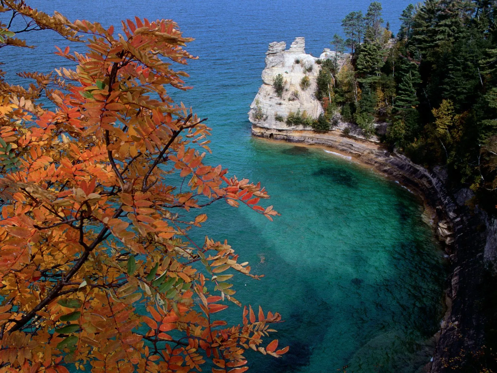 A tree with vibrant orange autumn leaves in the foreground overlooks a rocky coastline and clear turquoise water.