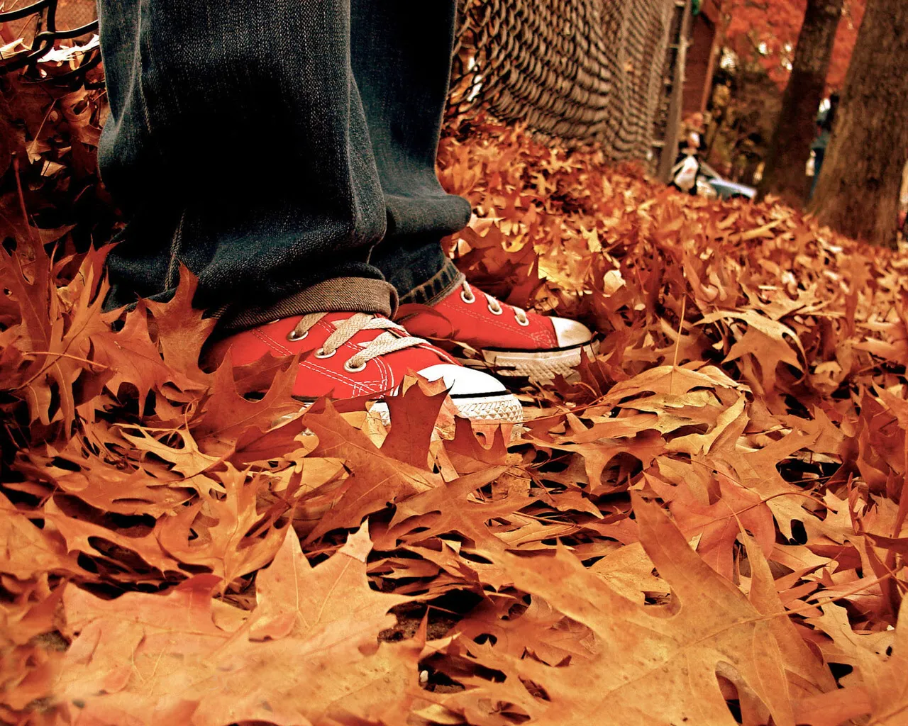 Close-up of red sneakers and blue jeans amidst a thick layer of fallen orange and brown autumn leaves.