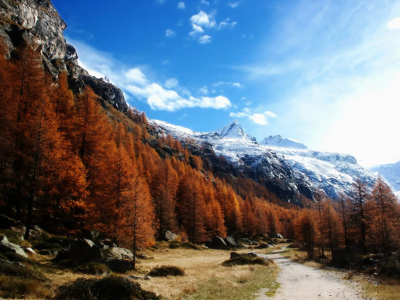 A winding dirt path leads through a vibrant orange autumn forest towards snow-capped mountains under a blue sky.