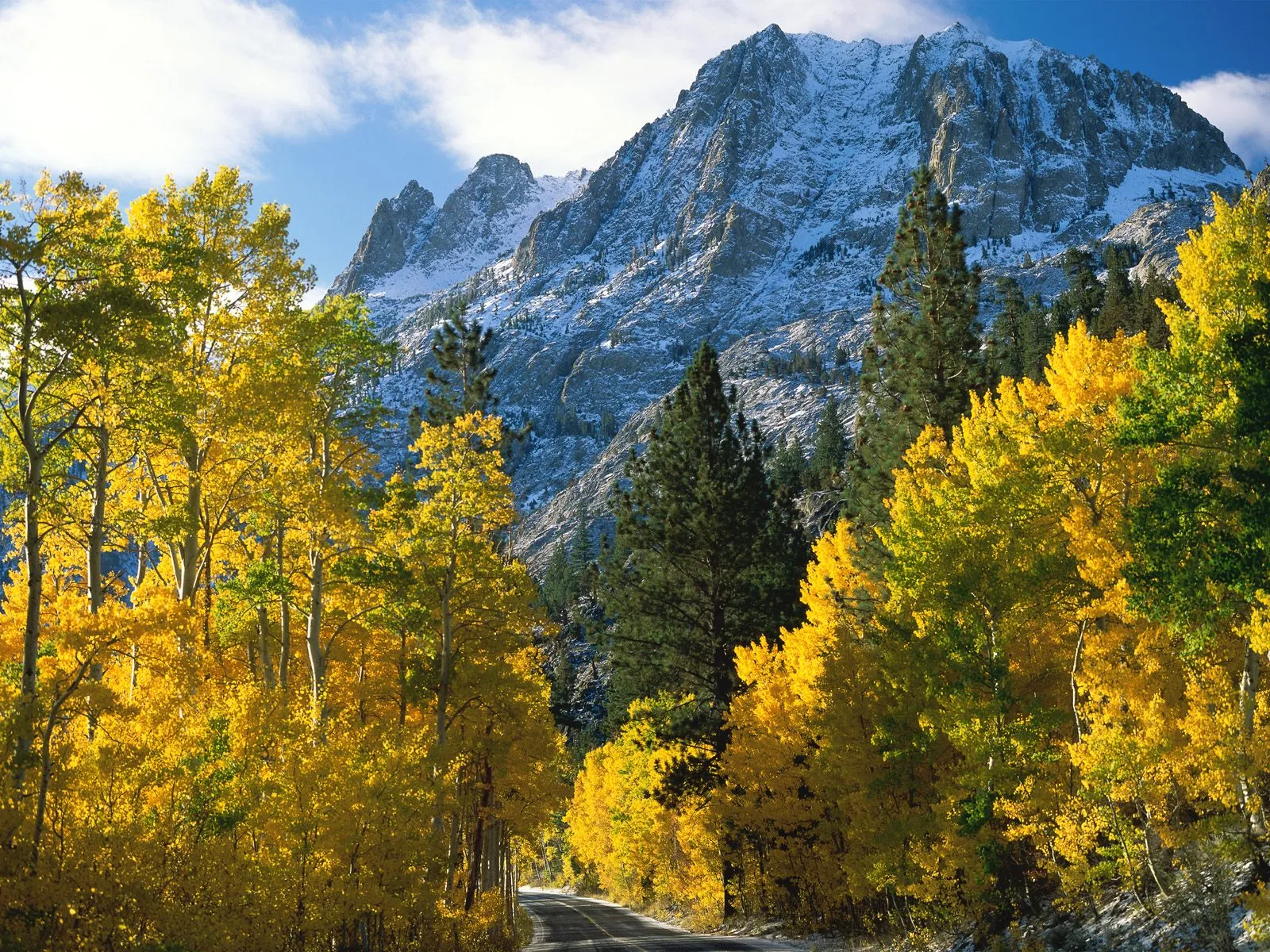 A winding road passes through vibrant yellow aspen trees with snow-capped mountains in the background under a blue sky.