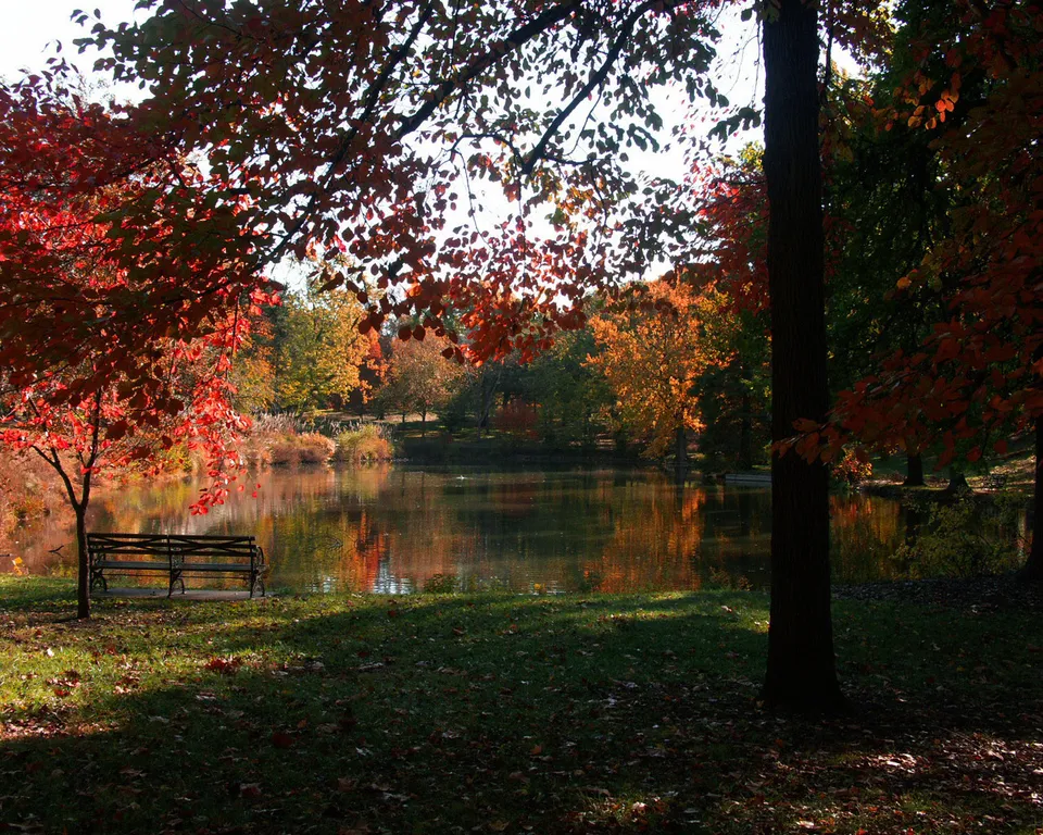 A park bench sits by a lake surrounded by trees with vibrant red and orange autumn leaves.