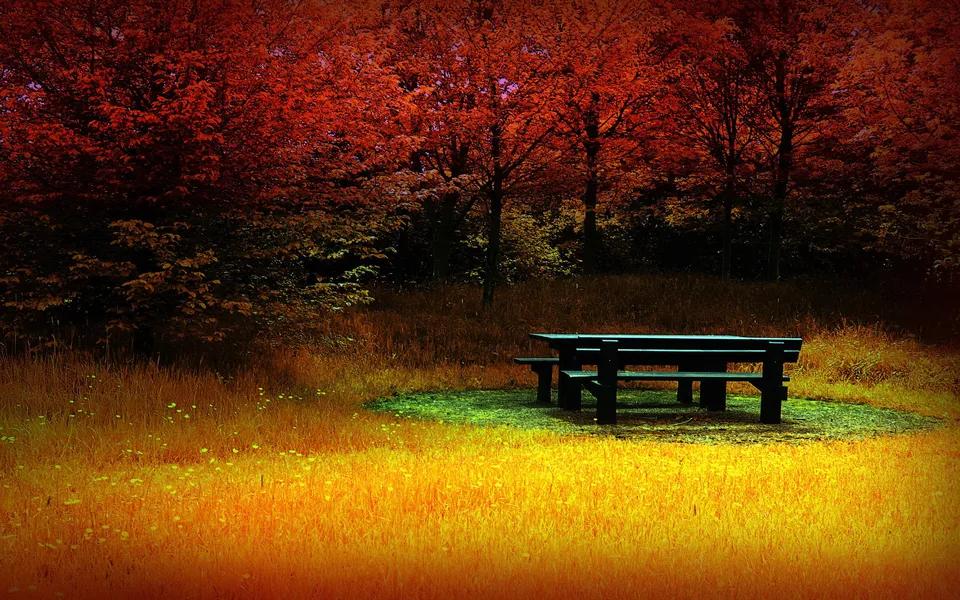 A dark picnic table sits in a clearing surrounded by tall grass and vibrant red autumn trees.