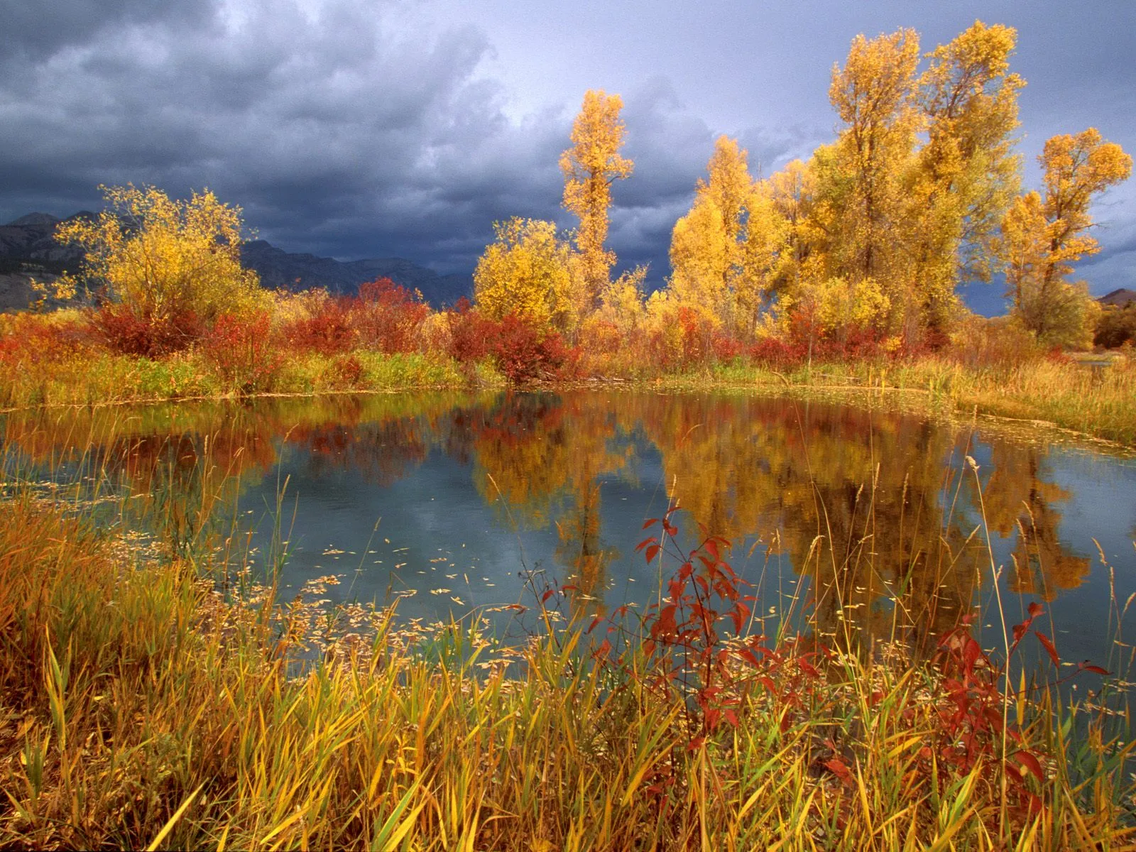 A calm pond reflects trees with yellow and red autumn leaves under a dramatic cloudy sky.
