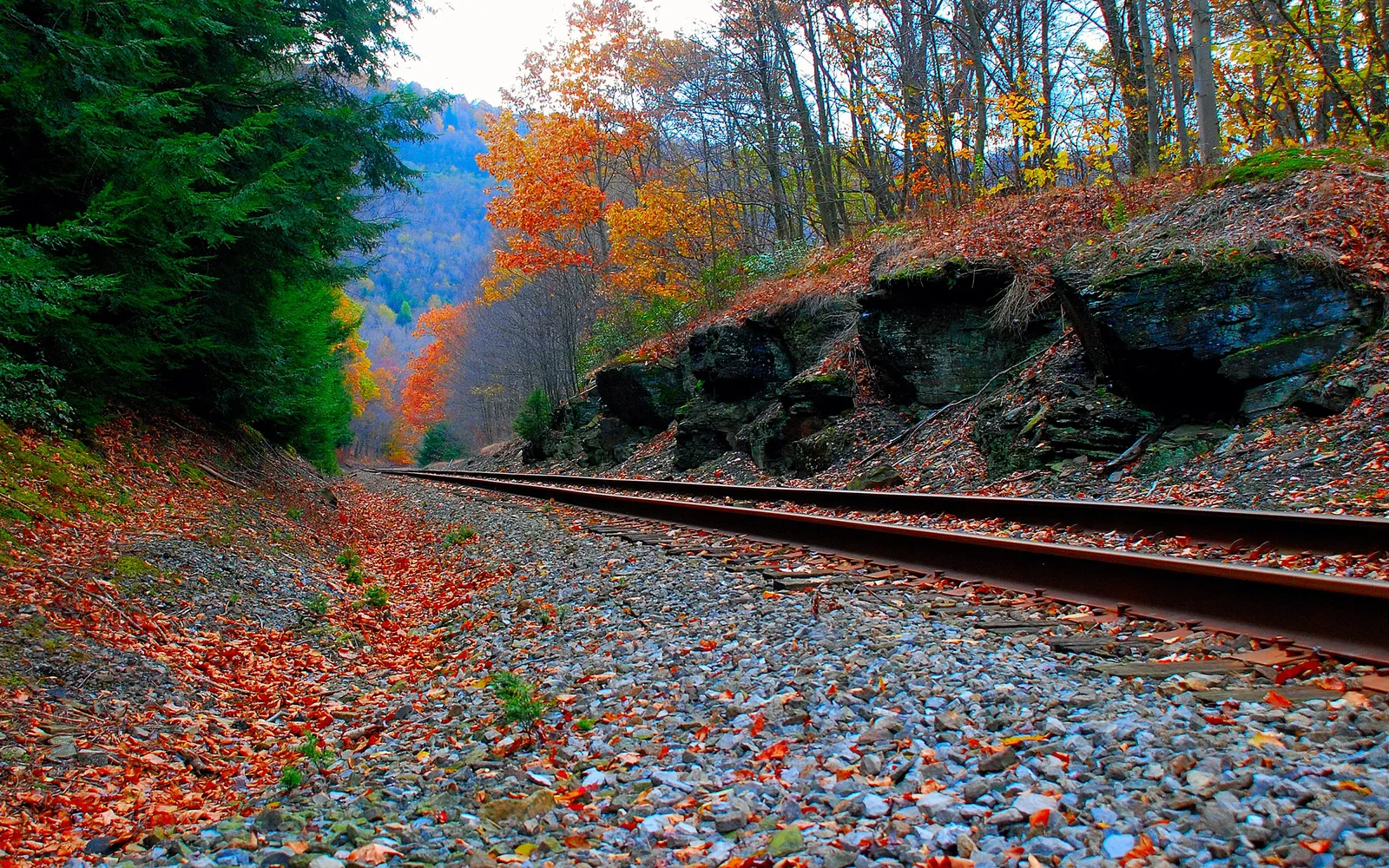 A railroad track curves through a forest with vibrant autumn foliage and fallen leaves.
