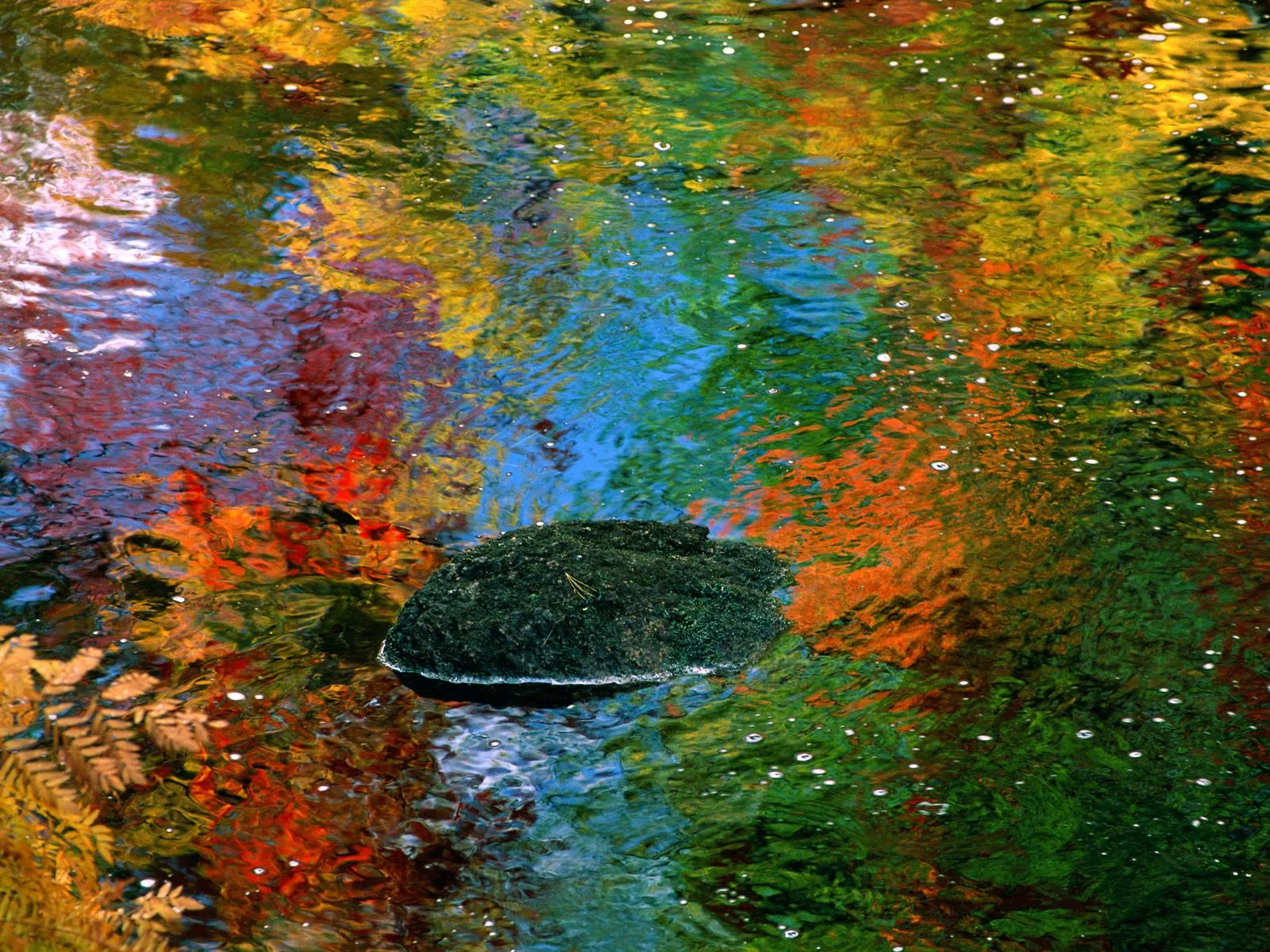 Abstract patterns of red, yellow, and green reflected on the surface of rippling water, with a dark rock in the foreground.