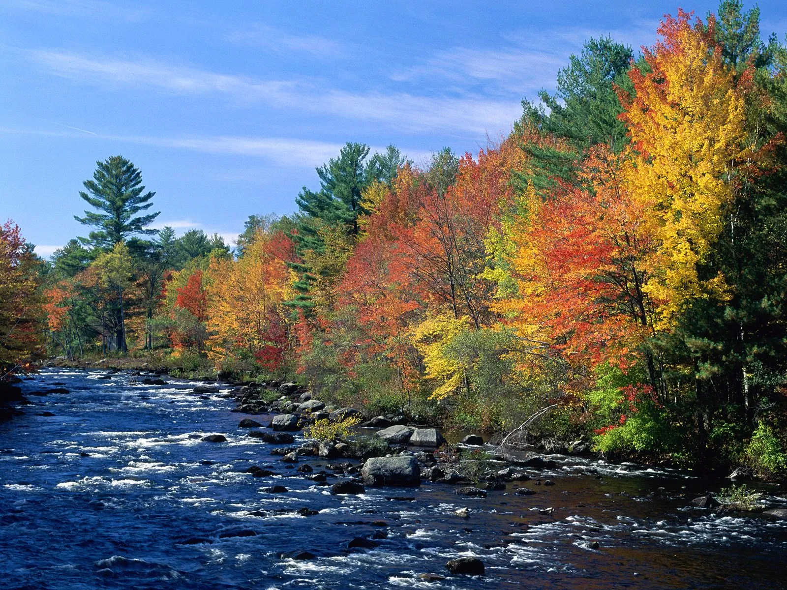 A wide, fast-flowing river with white rapids, bordered by trees displaying vibrant autumn foliage under a blue sky.