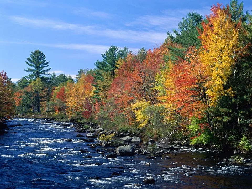 A wide, fast-flowing river with white rapids, bordered by trees displaying vibrant autumn foliage under a blue sky.