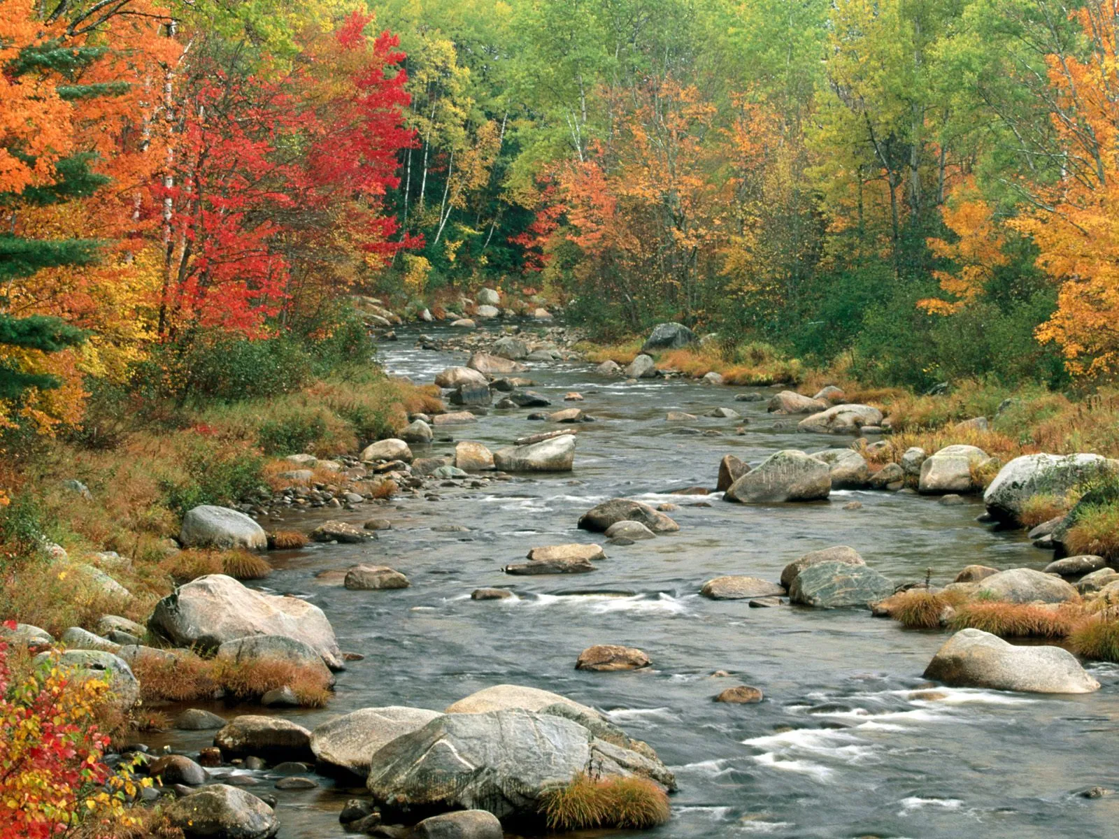 A river flows over rocks with colorful autumn trees lining the banks.