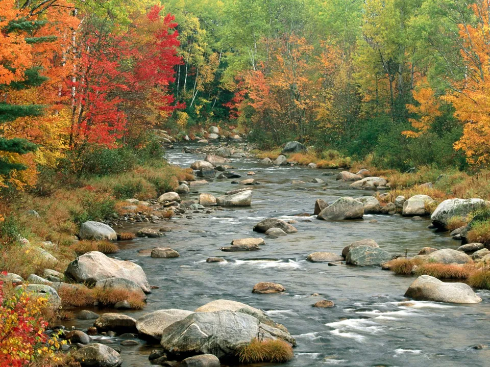 A river flows over rocks with colorful autumn trees lining the banks.