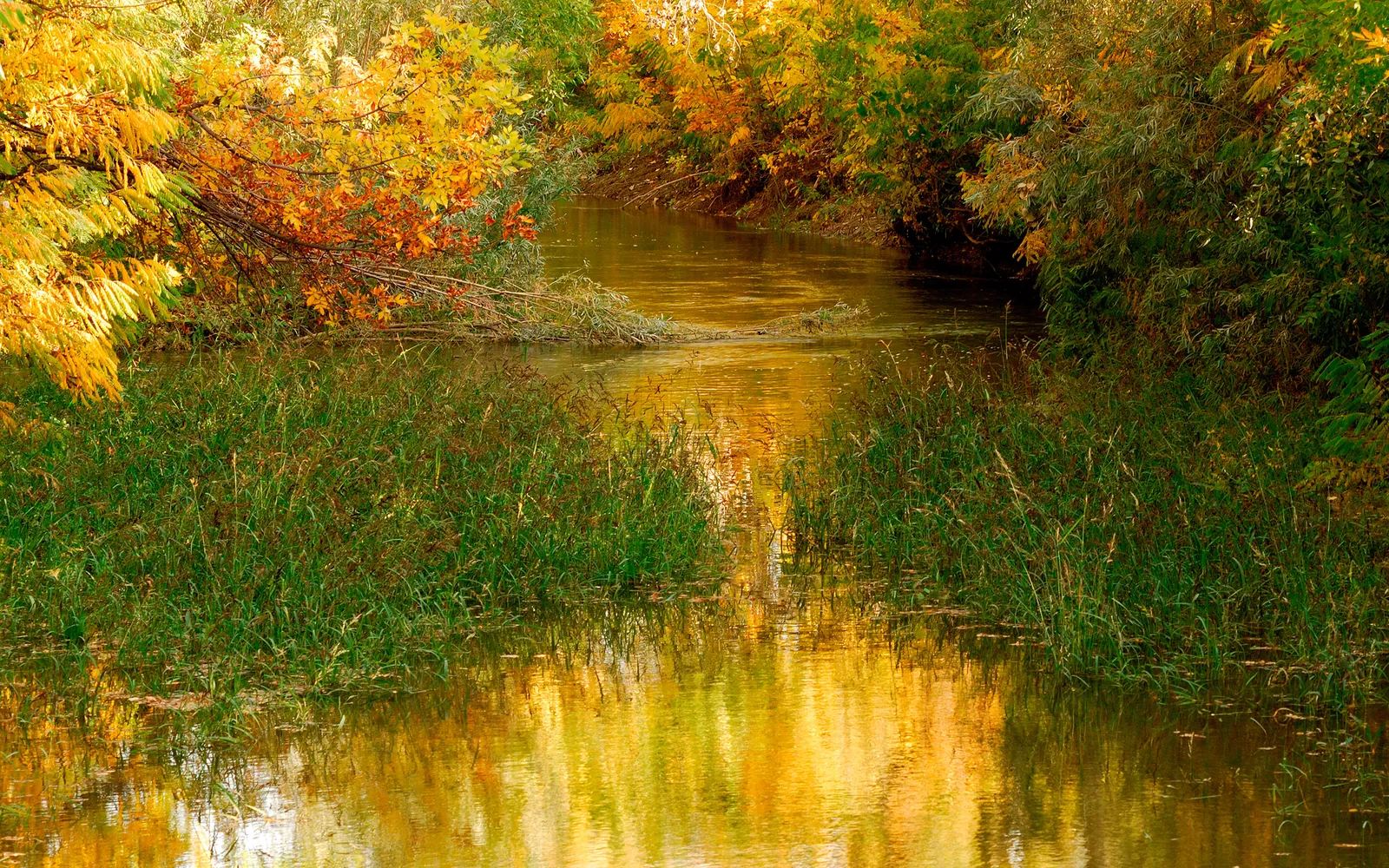 A calm river flows through a forest with trees displaying vibrant yellow and orange autumn foliage.