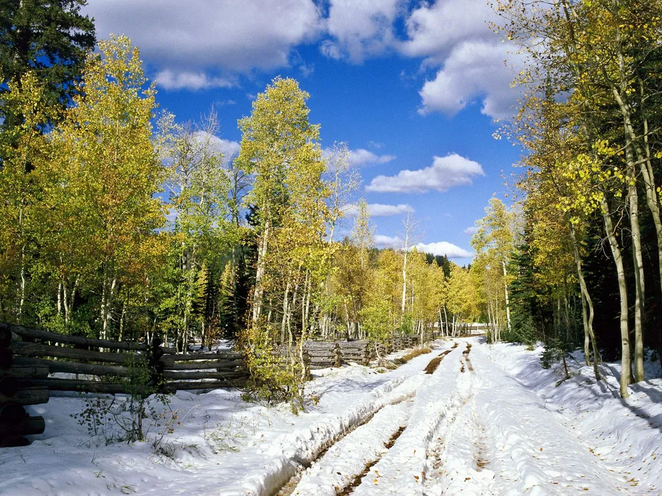 A snowy road winds through a forest with trees showing autumn colors and green pine trees under a blue sky with clouds.