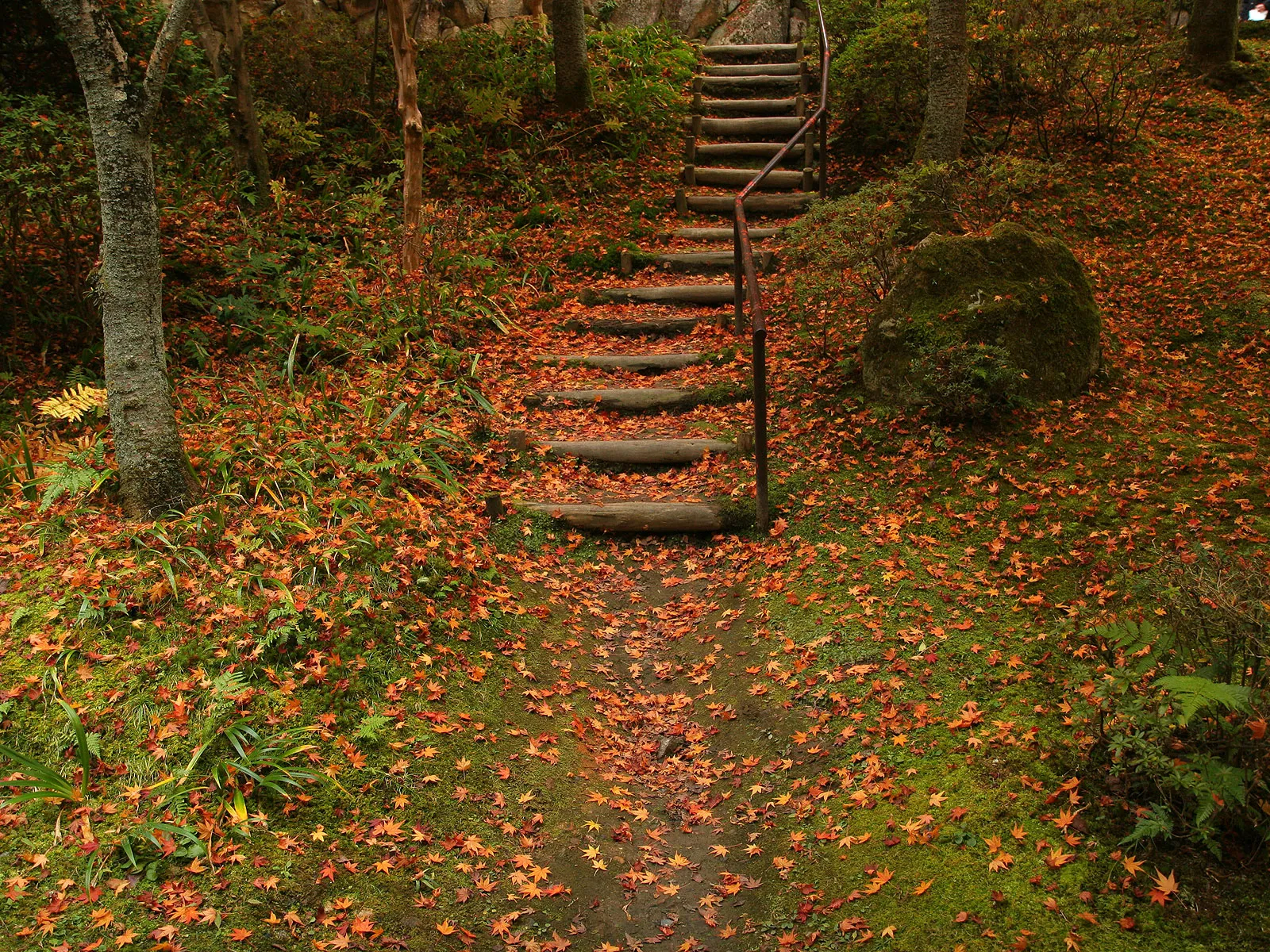 A wooden staircase ascends a mossy hill covered in fallen orange and red autumn leaves.