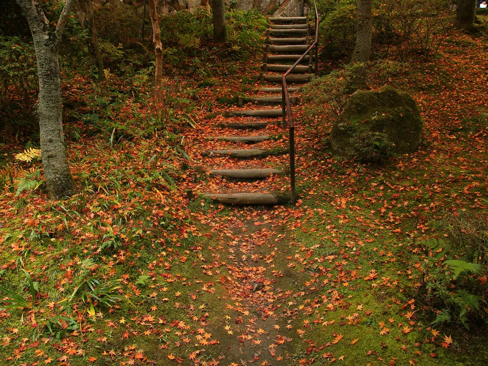 A wooden staircase ascends a mossy hill covered in fallen orange and red autumn leaves.