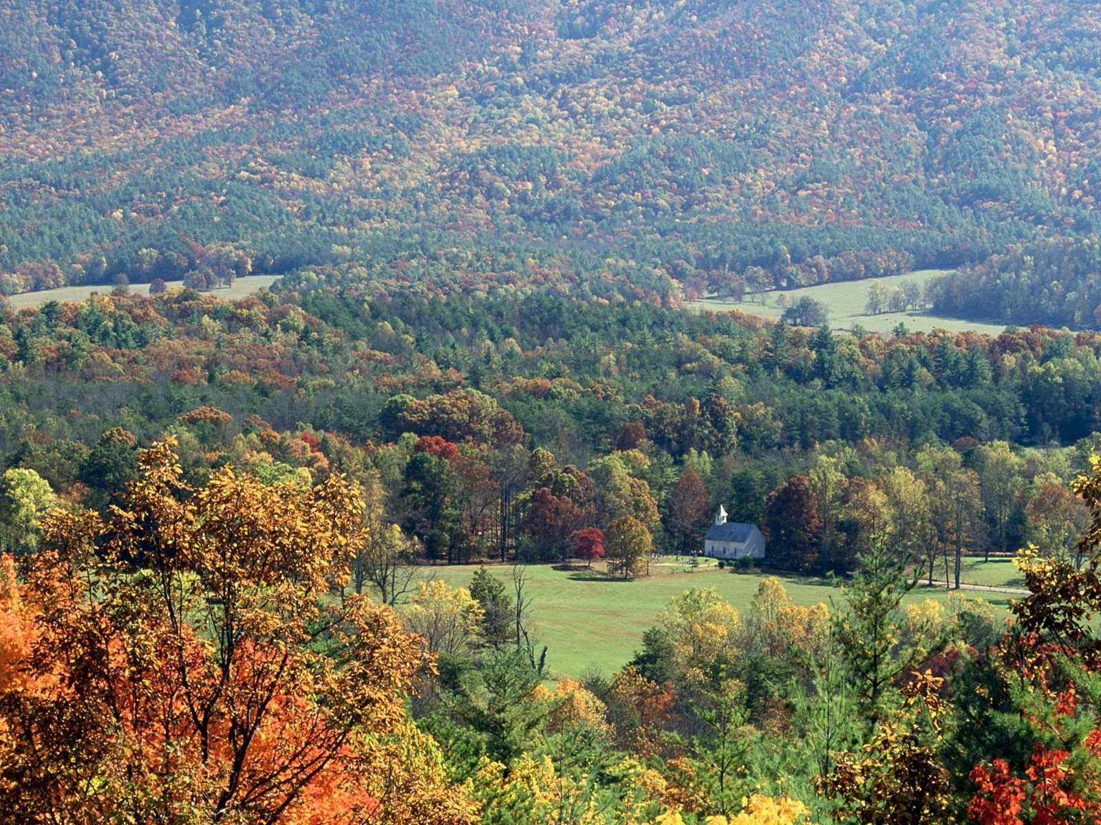 A valley filled with trees in autumn colors, with a small white church nestled among them.