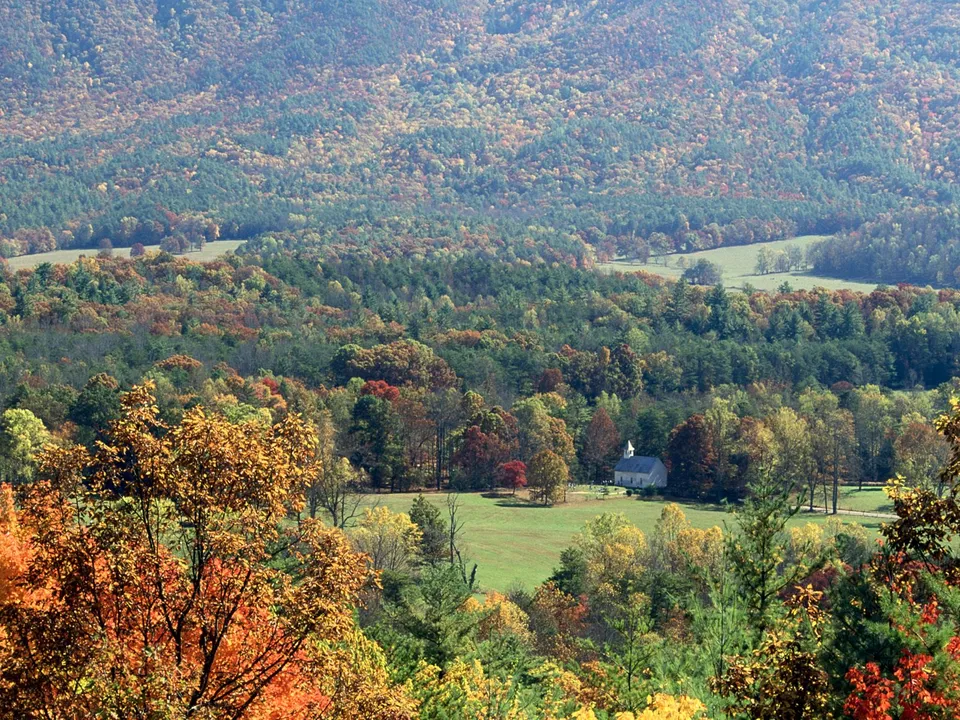 A valley filled with trees in autumn colors, with a small white church nestled among them.