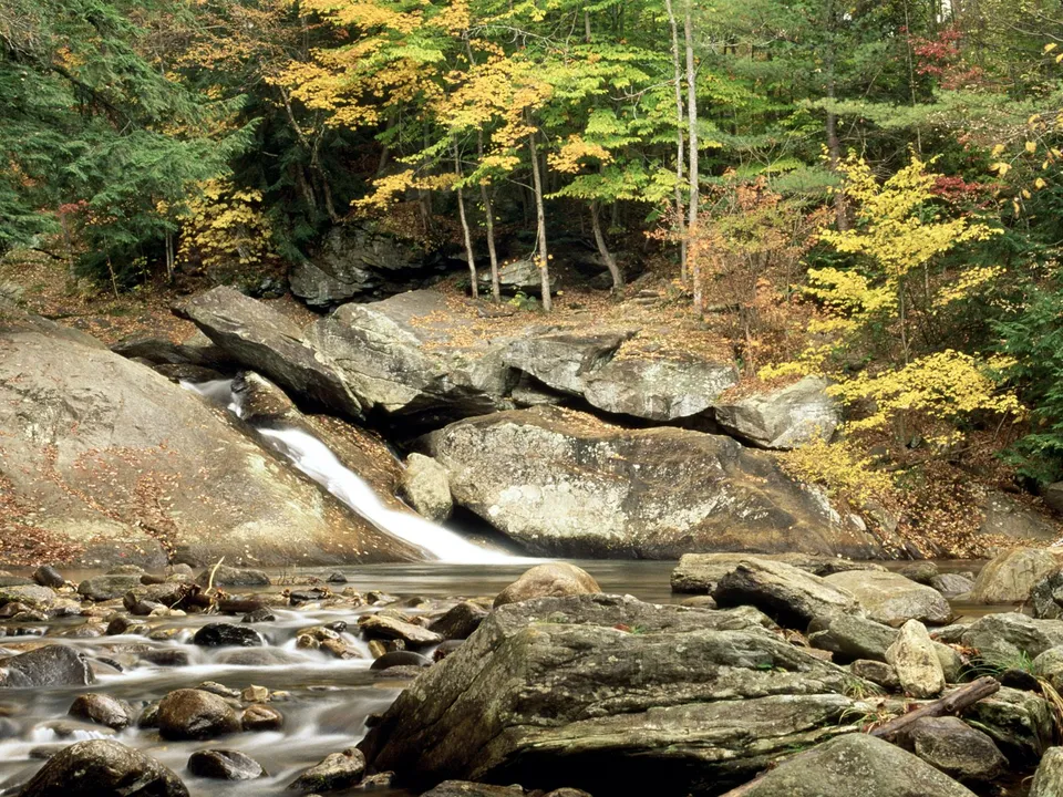 A gentle waterfall cascades over large rocks in a forest during autumn.